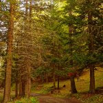 Il sentiero che collega Montagne Seu a Monfol